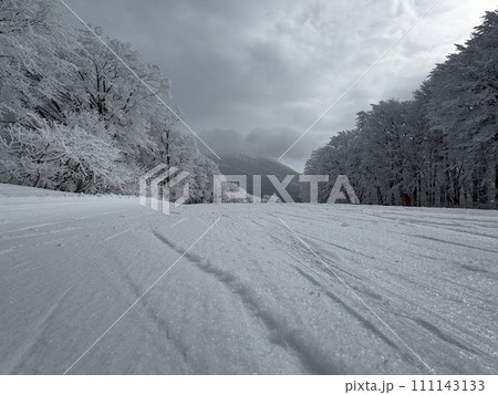 2024年1月の福島県のネコママウンテンの南エリアの雪面 2024年1月の福島県のネコママウンテンの南エリアの雪面 111143133