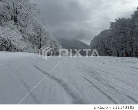 2024年1月の福島県のネコママウンテンの南エリアの雪面のアップ 2024年1月の福島県のネコママウンテンの南エリアの雪面のアップ 111143182