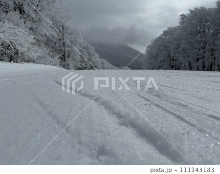 2024年1月の福島県のネコママウンテンの南エリアの雪面のアップ 111143183
