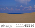 鳥取砂丘の風景・鳥取 111143319