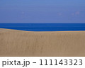 鳥取砂丘の風景・鳥取 111143323