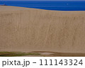 鳥取砂丘の風景・鳥取 111143324