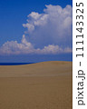 鳥取砂丘の風景・鳥取 111143325