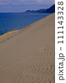 鳥取砂丘の風景・鳥取 111143328