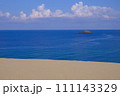 鳥取砂丘の風景・鳥取 111143329