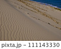 鳥取砂丘の風景・鳥取 111143330