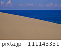 鳥取砂丘の風景・鳥取 111143331