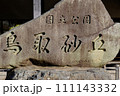 鳥取砂丘・石碑 111143332