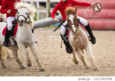 Children on horses playing horseball Children on horses playing horseball 111143508