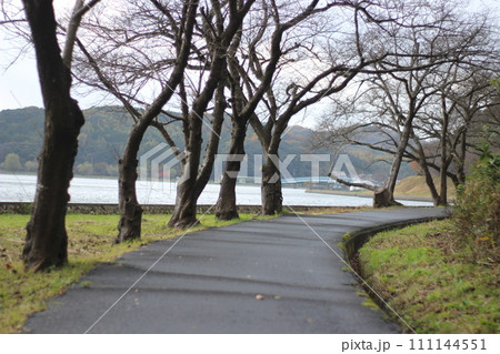 湖山池と青島 湖山池と青島 111144551
