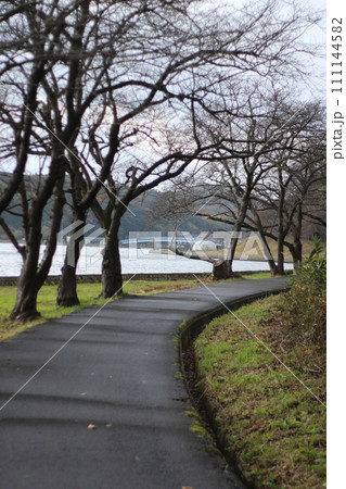 湖山池と青島 111144582