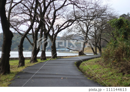 湖山池と青島 湖山池と青島 111144613