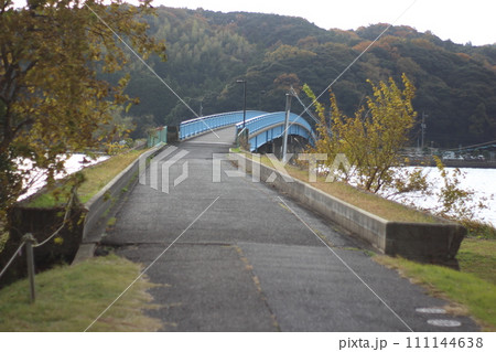 湖山池と青島 111144638