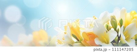 Spring flowers banner, background. Freesia flowers banner with copy space Spring flowers banner, background. Freesia flowers banner with copy space 111147205