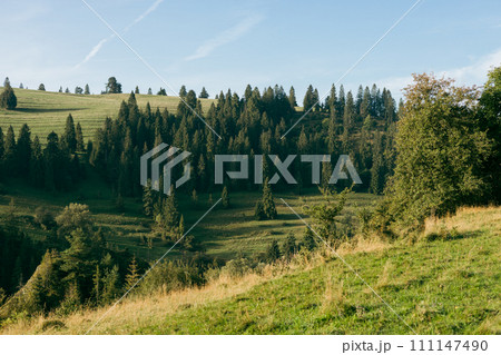 Wonderful nature scenery with forested rolling hills and green grassy meadows in morning light. Wonderful nature scenery with forested rolling hills and green grassy meadows in morning light. 111147490