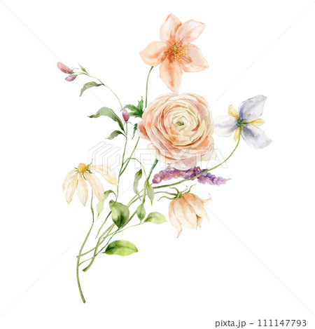 Watercolor bouquet of ranunculus, daisy, anemone and leaves. Hand painted floral card isolated on white background. Holiday flowers Illustration for design, print, fabric or background. Watercolor bouquet of ranunculus, daisy, anemone and leaves. Hand painted floral card isolated on white background. Holiday flowers Illustration for design, print, fabric or background. 111147793