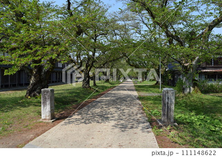 松ヶ岡開墾場 日本遺産 国指定史跡 111148622