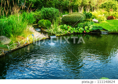 Awe Water Garden next to cottage in prosperous village next to Khimki in  Moscow Oblast 111148624