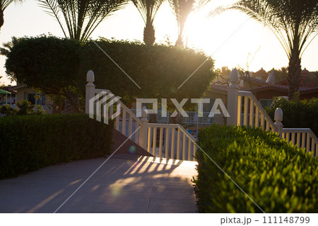 Walking road with hedges in an exotic park with palm trees on a sunny day leading to the stairs Walking road with hedges in an exotic park with palm trees on a sunny day leading to the stairs 111148799