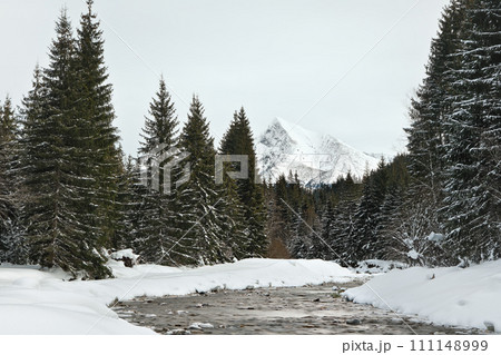 Morning on winter river, trees on both sides, and snow covered shores, Mount Krivan - Slovak symbol and clear sky above in distance 111148999