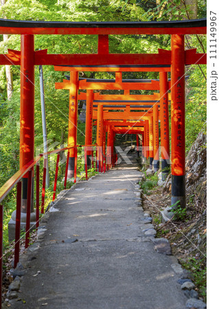 上賀茂神社 二葉姫稲荷神社の参道(京都市北区上賀茂本山) 上賀茂神社 二葉姫稲荷神社の参道(京都市北区上賀茂本山) 111149967