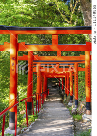 上賀茂神社 二葉姫稲荷神社の参道(京都市北区上賀茂本山) 上賀茂神社 二葉姫稲荷神社の参道(京都市北区上賀茂本山) 111149968