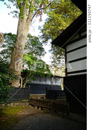 秋の角館武家屋敷 111150747