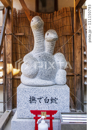 東京都・品川区 蛇窪神社 撫で白蛇 白蛇日本三大聖地 東京都・品川区 蛇窪神社 撫で白蛇 白蛇日本三大聖地 111150793