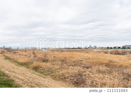 多摩川河川敷　中野島駅　駅前　JR南武線　春の足音　神奈川県川崎市 111151083