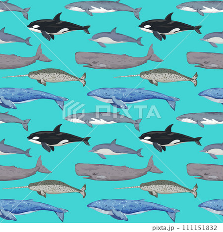 Seamless pattern with various whales. Hand-drawn detailed print. Vector illustration for design. Seamless pattern with various whales. Hand-drawn detailed print. Vector illustration for design. 111151832