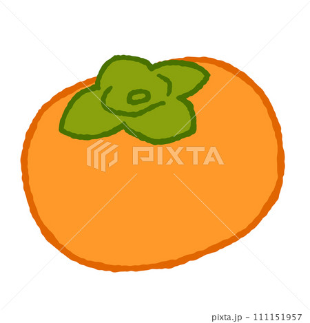 シンプルな柿のイラスト 111151957