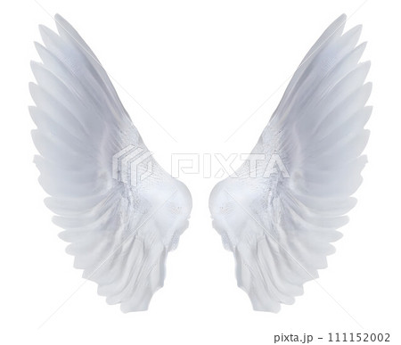 white angel wings isolated on white background. Generative AI white angel wings isolated on white background. Generative AI 111152002
