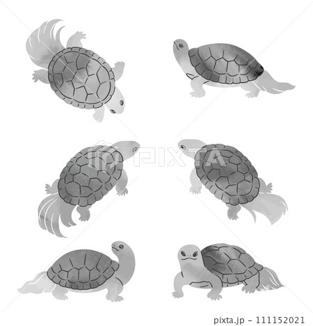 水墨画風の亀のベクターイラストセット 111152021