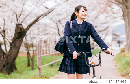 春に桜並木を自転車で学校に通う中学生・高校生・女子高生・女子高校生（通学・下校） 111152441