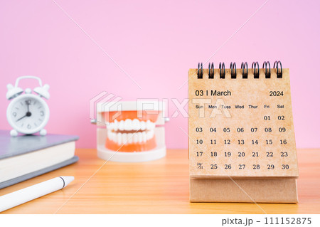 March monthly desk calendar for 2024 year and model dentures on the table with alarm clock. 111152875
