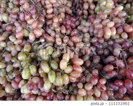 Large pile of Red Green grapes on display Large pile of Red Green grapes on display 111152902