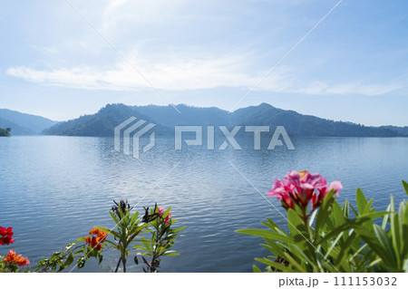 Mountain and water source from dam and pretty spring flower foreground, Thailand. Mountain and water source from dam and pretty spring flower foreground, Thailand. 111153032