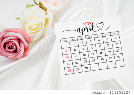 The April 2024 calendar page and rose flower on white satin textile background. The April 2024 calendar page and rose flower on white satin textile background. 111153124