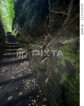 伊豆大島の泉津の切り通し 111153430