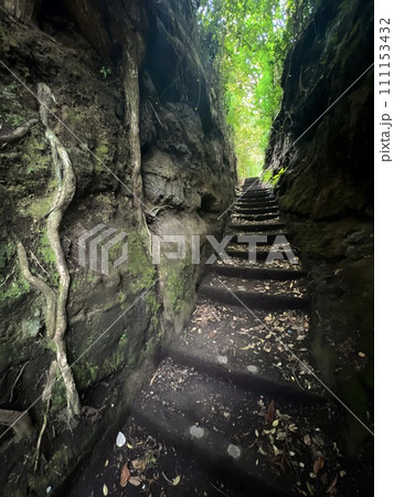 伊豆大島の泉津の切り通し 111153432