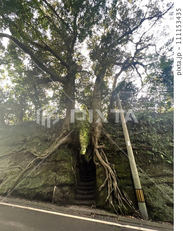 伊豆大島の泉津の切り通し 伊豆大島の泉津の切り通し 111153435