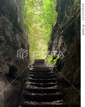 伊豆大島の泉津の切り通し 111153439