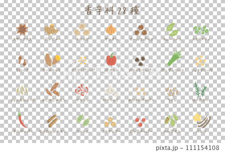 28種類の香辛料のイラスト（カタカナ名称） 111154108