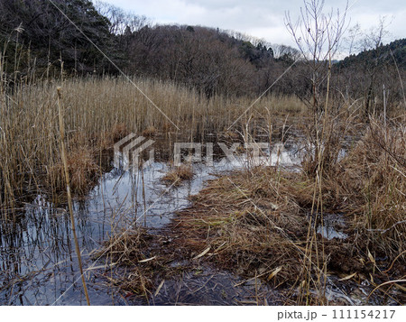 海上の森　篠田砂防池風景 111154217