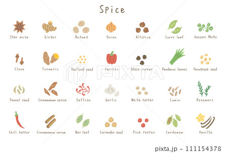 28種類の香辛料のイラスト（英語名称） 111154378
