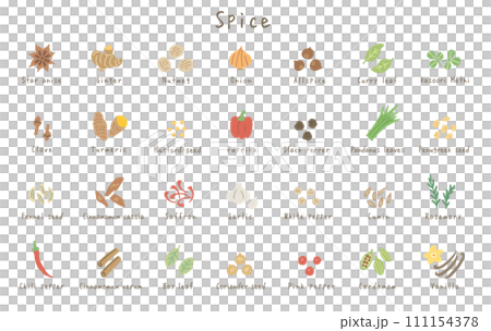28種類の香辛料のイラスト（英語名称） 111154378
