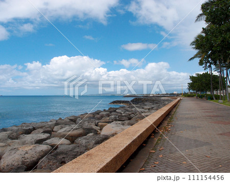Path along Sea Wall with plants and palm tree lining the path 111154456