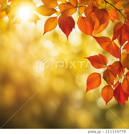 Close up beautiful maple leaves in autumn sunny day. in foreground and blurry background.AI-generated item Close up beautiful maple leaves in autumn sunny day. in foreground and blurry background.AI-generated item 111154779