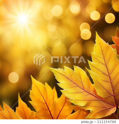 Close up beautiful maple leaves in autumn sunny day. in foreground and blurry background.AI-generated item Close up beautiful maple leaves in autumn sunny day. in foreground and blurry background.AI-generated item 111154780