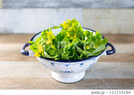 コランダーと春の食材、菜の花 111155299
